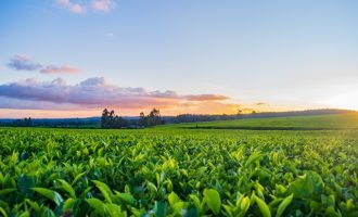 irewolede-PvwdlXqo85k-unsplash(2)